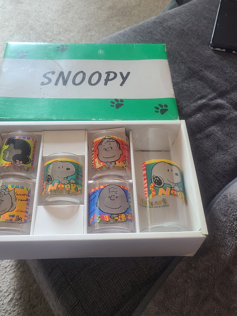 Schultz Snoopy Glass Set with Multicolor Peanuts Panels - Green Box